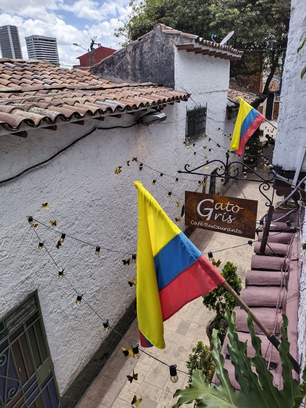 El gato gris