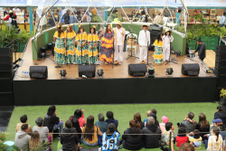 músicos en escenario