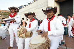 grupo de músicos