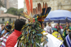 Corona de plumas 