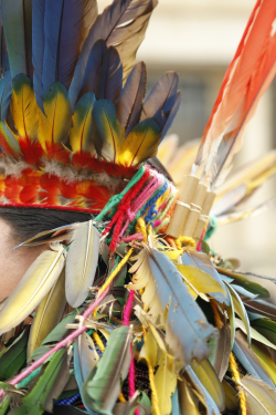 Corona de plumas