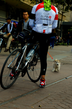 ciclista y perrito