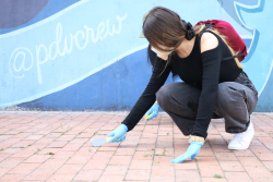 chica limpia calle 