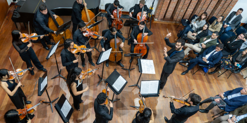 Violinistas
